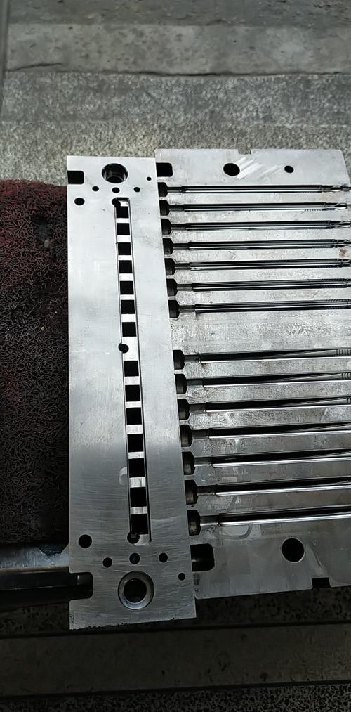 匠心筑梦，育见未来 温州鸿通模具与温州教育的共生之道